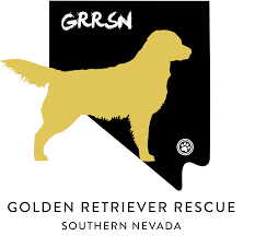 At my golden retriever puppies, we learn, love, and live golden retriever puppies! Grrsn Golden Retriever Rescue Southern Nevada