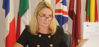 Od roku 2011 působila jako velvyslankyně evropské. James Hall On Twitter Eu S Ambassador To Namibia Jana Hybaskova Says Nam Not Yet Blacklisted For Allowing Illegal Financial Flows Being A Tax Haven Used For Money Laundering But Says Blacklisting Will
