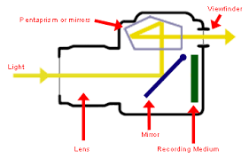 Mainly that the former has a digital sensor to. Slr Cameras