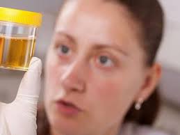 We did not find results for: Tanda Penyakit Yang Bisa Dilihat Dari Warna Urine Health Liputan6 Com