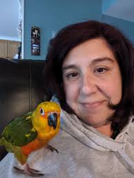 Does your bird hiss when happy or excited?