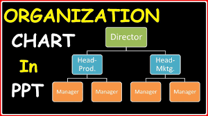 Creating An Organizational Chart In Powerpoint 2010 Presentations 2 Animations Effects Tutorials
