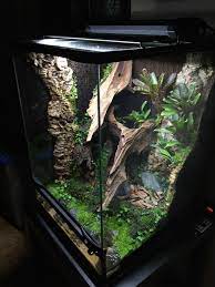 18x18x24 R Varadero Build Reptile Terrarium Frog Terrarium Crested Gecko Vivarium