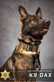 Image result for Sheriffs Tan 2018 Fleet