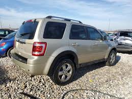 Image result for Gold Leaf 2012 Escape