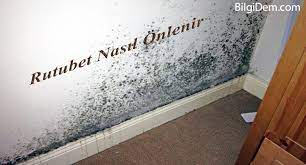 Rutubet alan eşyalarınızı kahve telvesi ve toz hardalla ovalarsanız koku ortadan kalkacaktır. Rutubet Nasil Onlenir Ve Rutubet Kokusu Nasil Giderilir