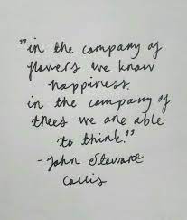 The contributions that you have imparted the company are invaluable. In The Company Of Flowers We Know Happiness In The Company Of Trees We Are Able To Think Jihn Stewart Collis Nature Quotes Mountain Quotes Words Quotes