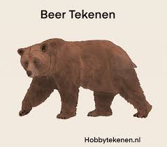 Handen tekenen makkelijk na tekenen : Realistische Beer Leren Tekenen Hobbytekenen Nl