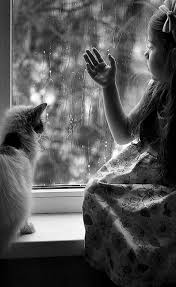 When Behind A Window A Rain By Mechtaniya Fotografia De Lluvia Fotos En La Lluvia Y Fotografia