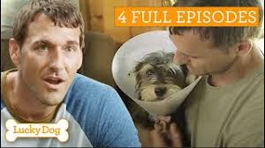 Lucky Dog Marathon! 4 Full Episodes
