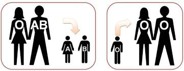 Verify Paternity By Blood Type Paternity Testing Labs