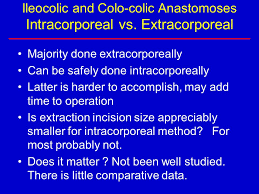 The doctor is telling you that when the terminal ileum (end of small bowel) was connected to the colon, the passage between then is open and working.he has not scarred down to a small hole causing a problem. Bowel Anastomoses For Mis Procedures Ppt Download