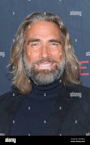 Hassel hi-res stock photography and images