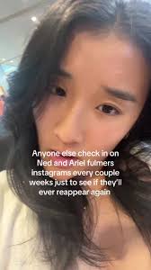 Ariel Fulmer Disapearing