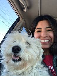 I'm looking to see if anyone needs help dog sitting or cat sitting.