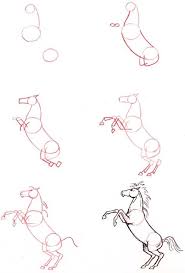 How To Draw A Horse Rearing Horse Drawings Horse Sketch Animal Drawings How to draw a horse. how to draw a horse rearing horse