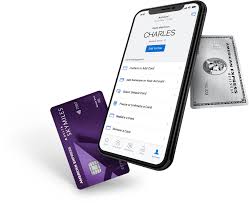 So why haven't you downloaded one yet? Download Amex Mobile App American Express