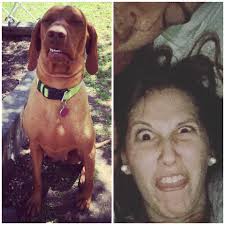 People who look like their dogs