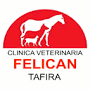 Clinica Veterinaria Felicán Tafira from www.ventajon.com