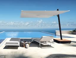 Image result for Nidorella umbrosa