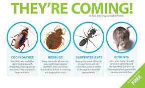 Pest control in toronto, ontario and humane wildlife/pest control and removal in toronto (including the beaches, don mills,. Pest Control Company Richmond Hill Power Pest Control