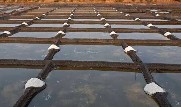 Salt pans in Goa, know the history of Goa's salt-making traditions.