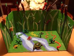 Biome In A Box Wetlands Biome Diorama Science Project Habitats Projects Ecosystems Projects Homeschool Projects