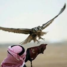 تتمحور التغيرات الجمالية في الوجه على ثلاثة محاور: Ø´Ø¹Ø± ØºØ²Ù„ Xiz143 Twitter