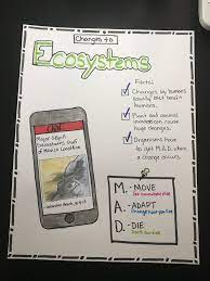 Changes To Ecosystems Anchor Chart Science Anchor Charts Fourth Grade Science 4th Grade Science