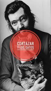 Cuervo lector (Matías Piccoli)