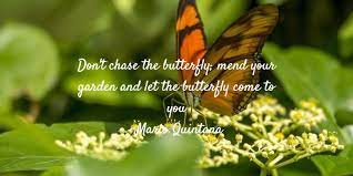 Don't waste your time chasing butterflies mend your garden and the butterflies will come. Buck Sons Landscape V Twitter Don T Chase The Butterfly Mend Your Garden And Let The Butterfly Come To You Mario Quintana
