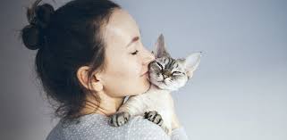 How Often Should You Deworm Your Indoor Cat?