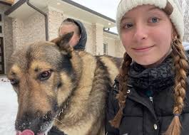 Lost dog near Welcome Arcadia Rd in Davidson County, NC