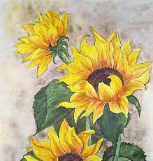 Maybe you would like to learn more about one of these? Beginner Easy Watercolor Paintings Of Flowers All Round Hobby