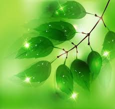 Green Leaves Sun Lights Background Ad Ad Ad Leaves Background Lights Green In 2020