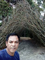 Check spelling or type a new query. Wisata Alam Di Batam Whatsapp 6281364919544 Picture Of Tebing Langit Batam Tripadvisor