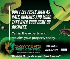 Providence is home to a wide variety of pests ranging from bugs to rodents to wildlife. 25 Best Pest Control Service Near Paradise Island Facebook Last Updated Apr 2021