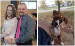 Strangers Meet In Dog Lover Group And Now They Re The Boxer Brady Bunch Dog Lovers Dogs Boxer