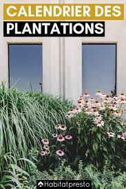 comment jardiner avec la lune votre calendrier lunaire 2020 calendrier lunaire parterre de fleurs jardin potager