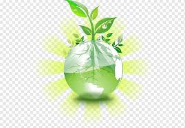 All orders are custom made and most ship worldwide within 24 hours. Green Plant On Earth Mother Nature Earth Lights Leaf Computer Wallpaper Desktop Wallpaper Png Pngwing