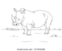 Ro coloring pages for kids online. Stock Photo And Image Portfolio By Xilem Shutterstock