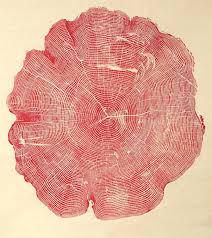 The footprints of Bryan Nash Gill — Cercle