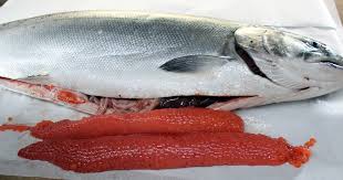 Salmon fry may go to sea shortly after they hatch or may spend several years in freshwater. How To Cure Salmon Eggs Riptidefish