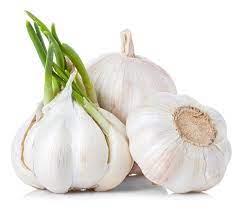 Maybe you would like to learn more about one of these? Is Garlic A Root Vegetable Quora