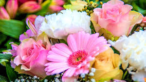 We did not find results for: Birth Flowers For Each Month Of The Year Thatsweetgift