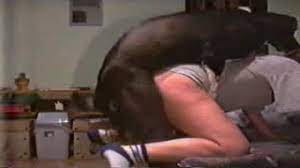 5/5⭐ los mejores videos porno gratis de todo internet. Studentessa Si Fa Scopare E Leccare La Figa Dal Cane Video Amatoriale Video Sesso Gratis