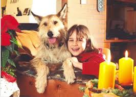 Hier ist der hund, der süßigkeiten liebt. Statt Sussigkeiten Gesundes Fur Katze Und Hund Industrieverband Heimtierbedarf
