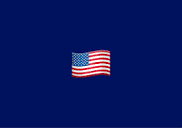 🇺🇸 Flag of the United States emoji Meaning | Dictionary.com