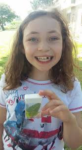 Creating nature bug art and exploring fall task boxes