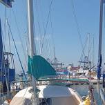 SCS - LILLY PAD SAIL 061326